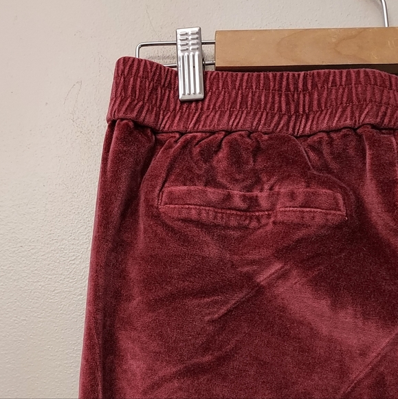 Madewell Rouge Velvet Jogger Track Pant Size Small Athleisure - Picture 6 of 11